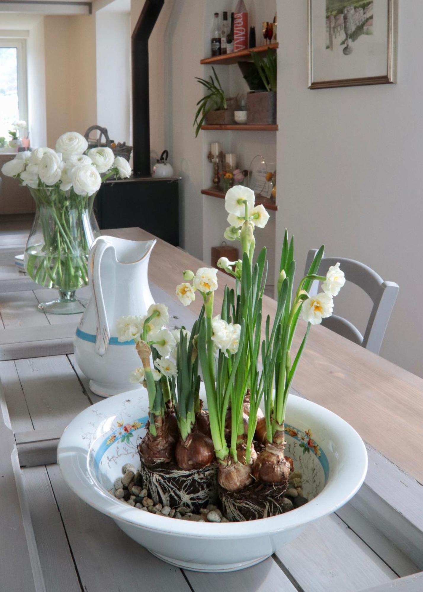 Casa Viola Bed And Breakfast Dimora Di Campagna Calice Ligure Экстерьер фото
